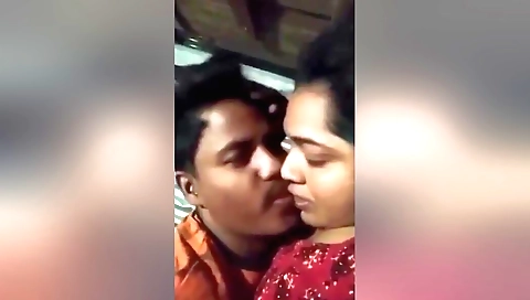 A lovely brunette milf from india gets fucked on a webcam