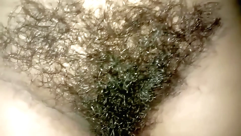 A lovely and beautiful indian girl 18+ with a hairy pussy